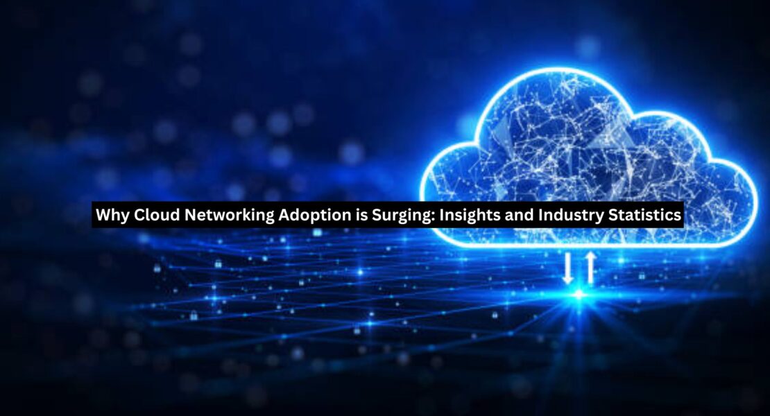 Cloud Networking Adoption